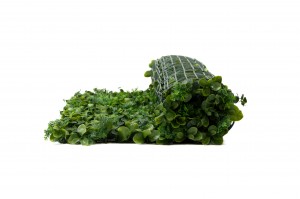 panneau-mono-espece-ficus-artificiel-43.