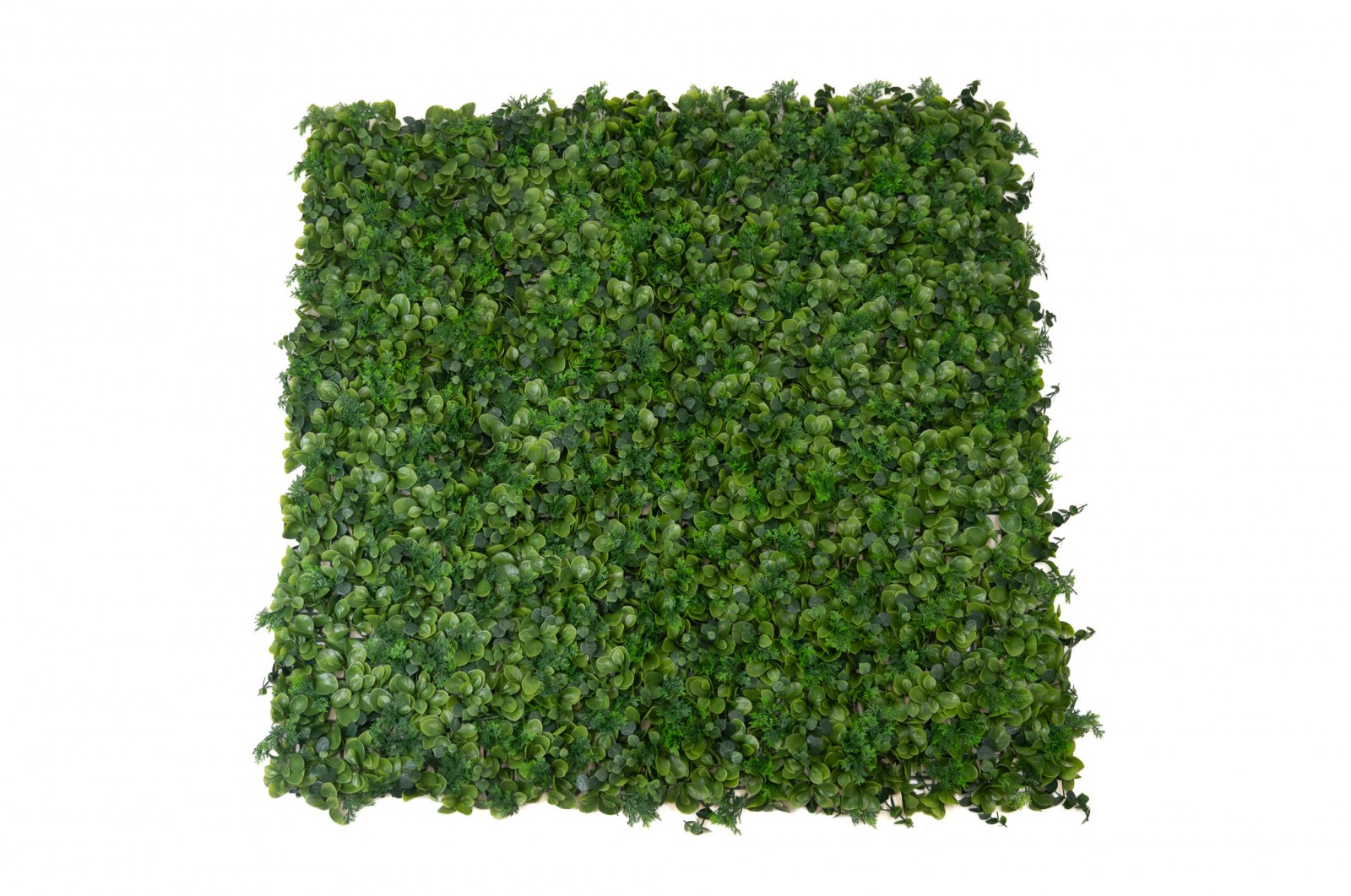 Artificial Ficus Single-Species Panel (43) artificial-ficus-single-species-panel-43