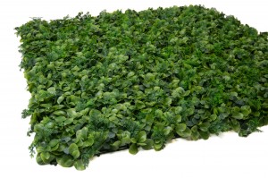 artificial-ficus-single-species-panel-43.