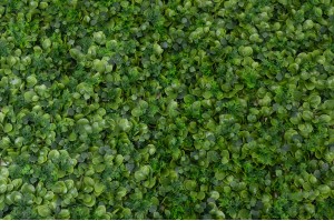artificial-ficus-single-species-panel-43.