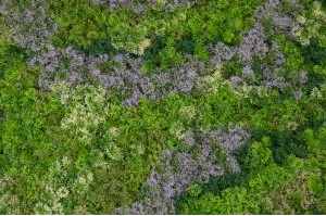 artificial-moss-single-species-panel-43.