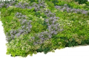 artificial-moss-single-species-panel-43.