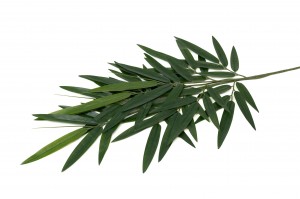 artificial-bamboo-uv-41