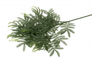 mimosa-artificiel-41