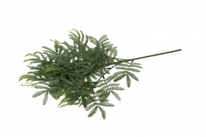 mimosa-artificiel-41.