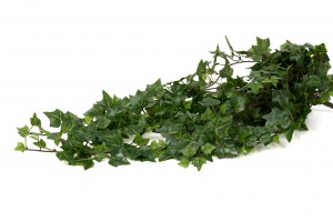 artificial-uv-ivy-hanging-41