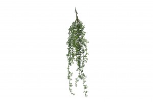 artificial-rue-muraria-hanging-41.