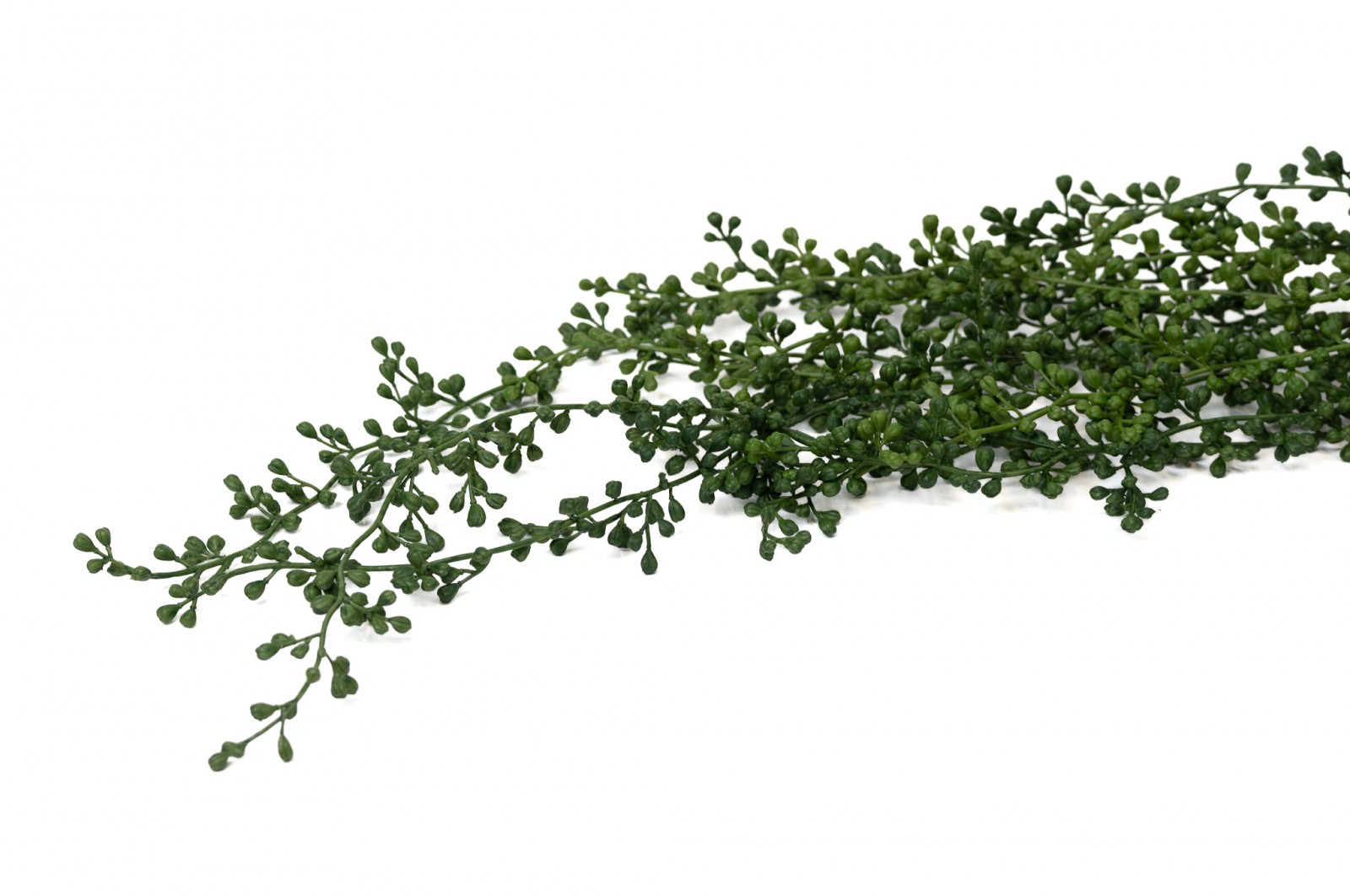 artificial-rue-muraria-hanging-41