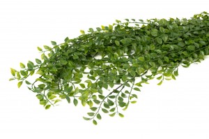 artificial-callisia-hanging-41