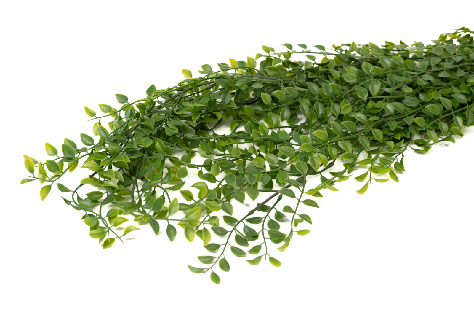 artificial-callisia-hanging-41