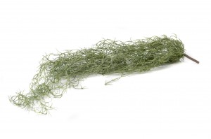 tillandsia-artificiel-chute-41.