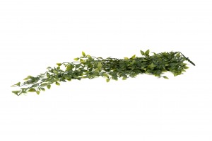 artificial-tradescantia-hanging-41.