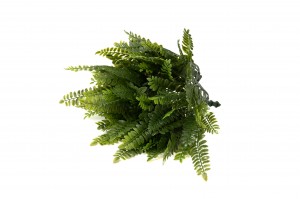 artificial-uv-fern-pick-41