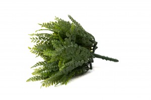 artificial-uv-fern-pick-41.