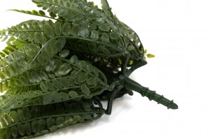 artificial-uv-fern-pick-41.