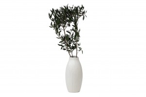 preserved-olive-branch-15.