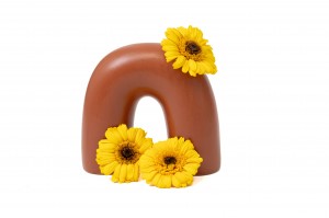 stabilisierte-gerbera-30.
