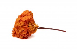 preserved-hydrangea-14.