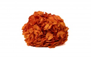 preserved-hydrangea-14.