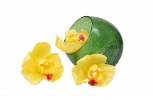 preserved-cymbidium-orchid-30.