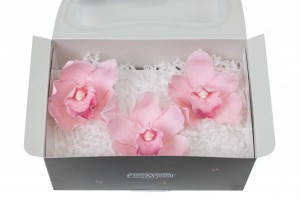 preserved-cymbidium-orchid-30.