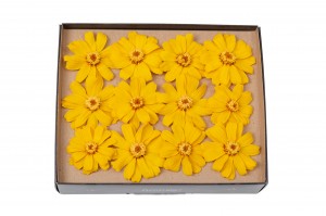 preserved-zinnia-30.