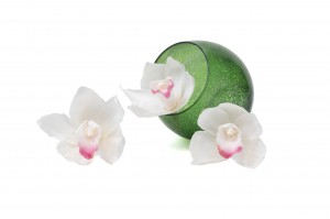 preserved-cymbidium-orchid-30.