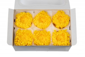 chrysantheme-morifolium-stabilise-o-6-7-cm-30.