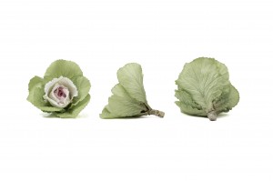preserved-ornamental-cabbage-30.