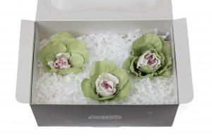 preserved-ornamental-cabbage-30.