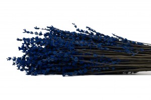 stabilisierter-lavendel-8