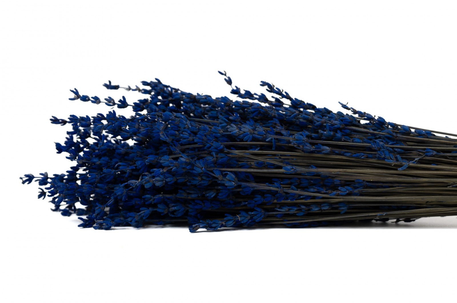 stabilisierter-lavendel-8