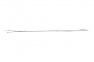 dried-phleum-8.
