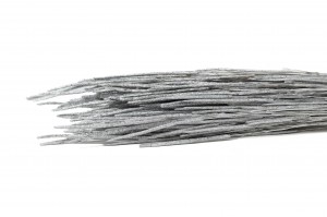 dried-phleum-8.