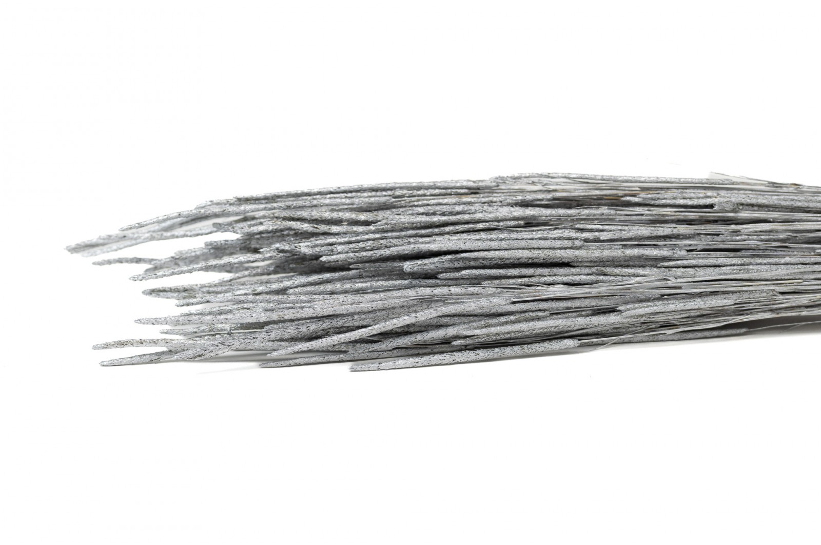 dried-phleum-8