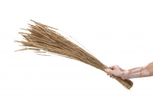 dried-phleum-8.