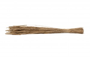 dried-phleum-8.