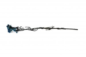 stabilisierte-ixodia-6.