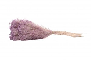 broom-stabilise-8.