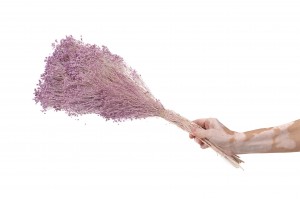 broom-stabilise-8.
