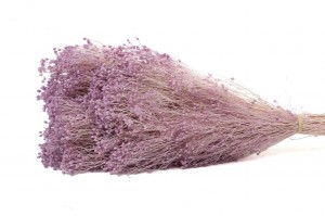 broom-stabilise-8.