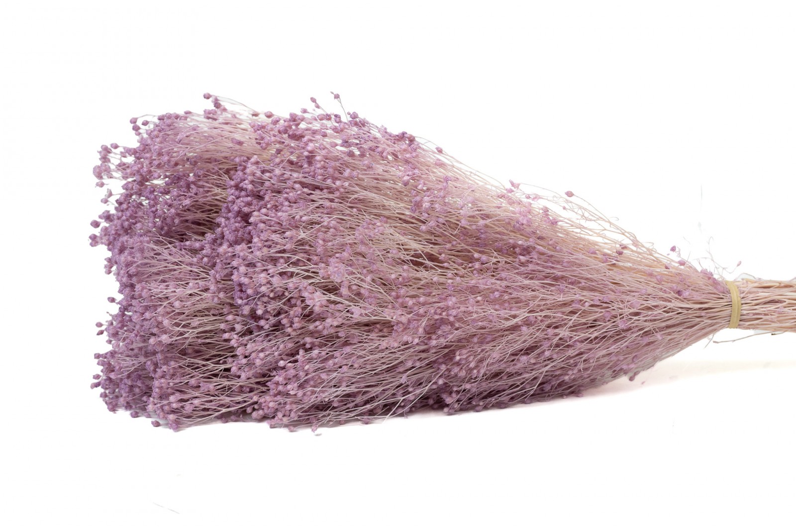 broom-stabilise-8