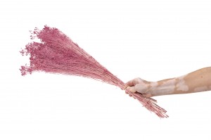 preserved-broom-8.