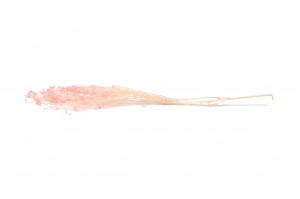 broom-stabilise-8.