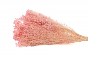 broom-stabilise-8.