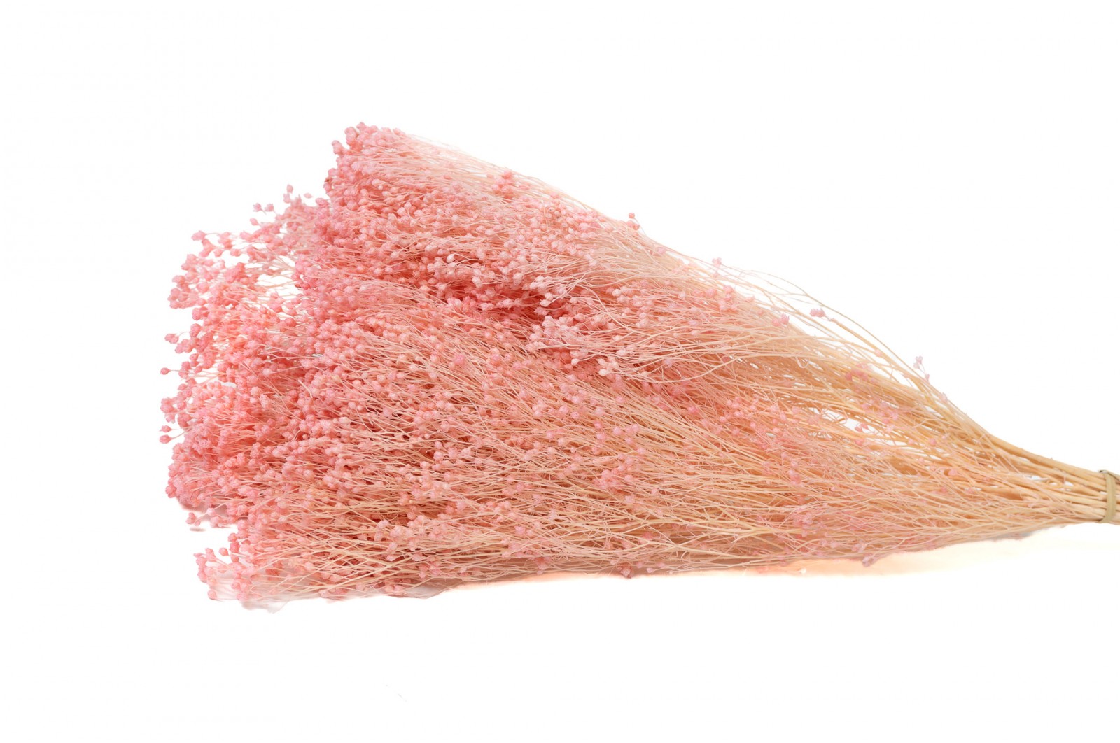 broom-stabilise-8