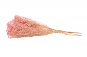 broom-stabilise-8.