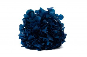 preserved-hydrangea-14.