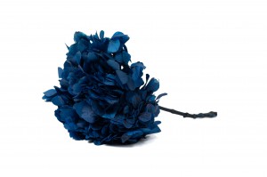 preserved-hydrangea-14.