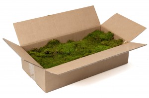 preserved-flat-moss-bulk-box-26.
